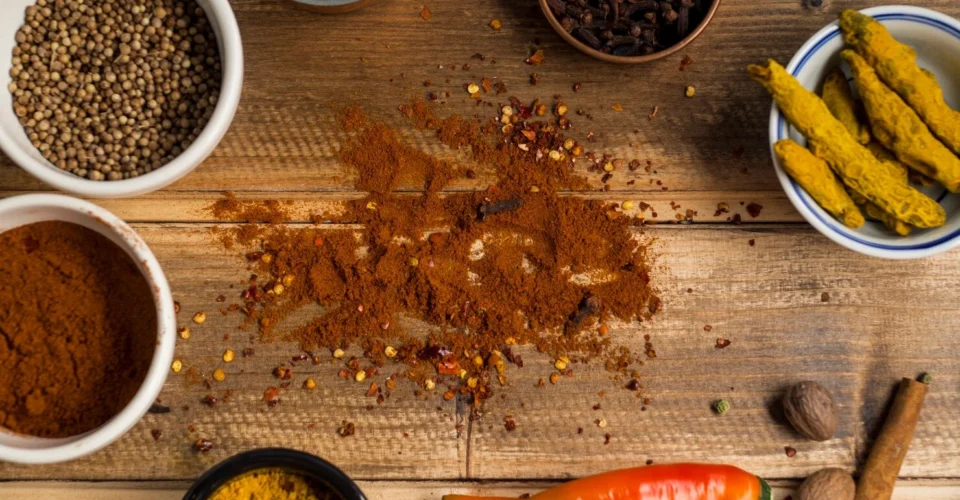 What Are the Main Differences Between Andhra Spices and North Indian Spices?